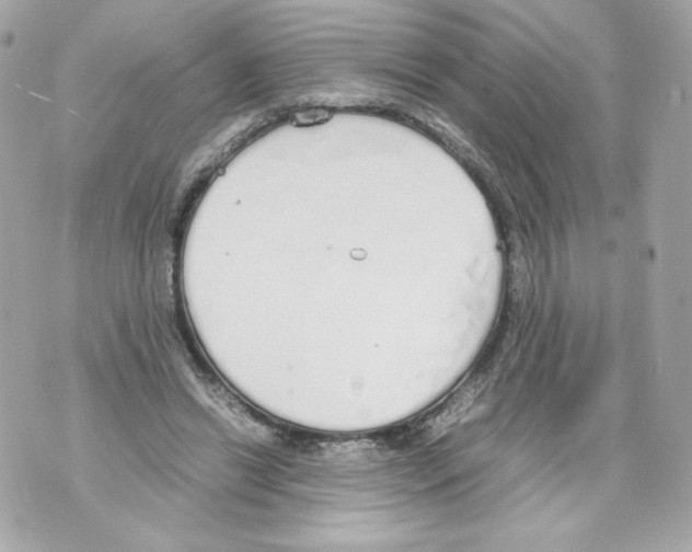 X0000070380446200607072158