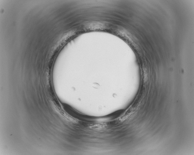 X0000070380447200607072158