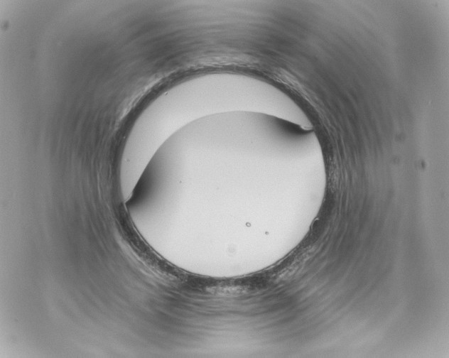 X0000070380448200607072158