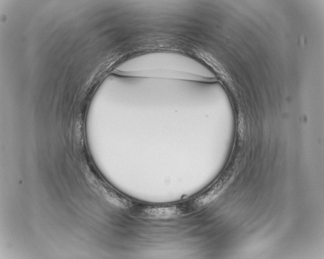 X0000070380449200607072158