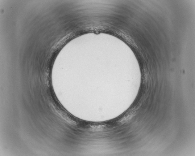 X0000070380450200607072158