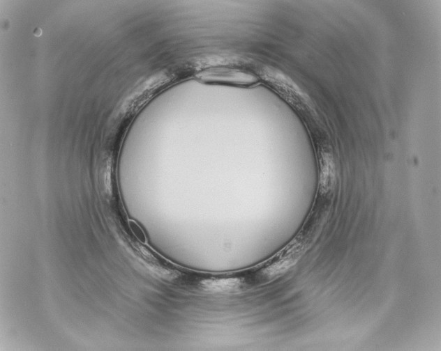 X0000070380452200607072158