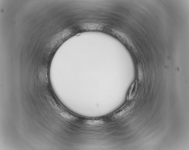 X0000070380453200607072158