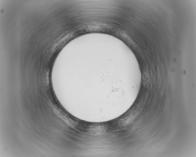 X0000070380454200607072158