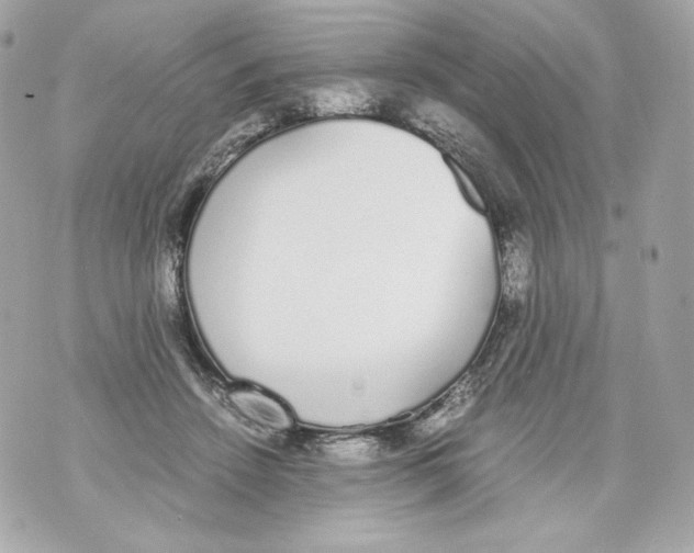 X0000070380456200607072158