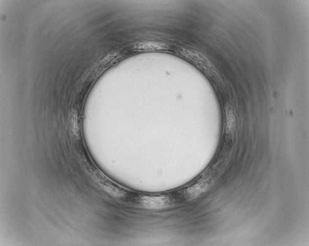 X0000070380457200607072158