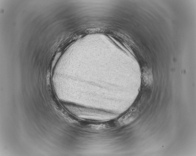 X0000070380458200607072158