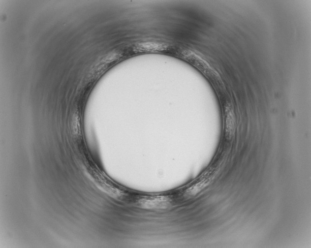 X0000070380459200607072158