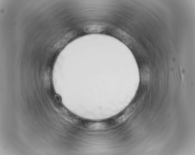 X0000070380460200607072158