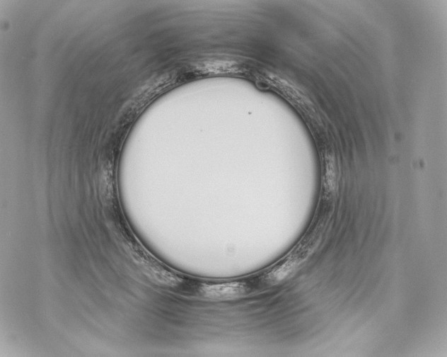 X0000070380461200607072158