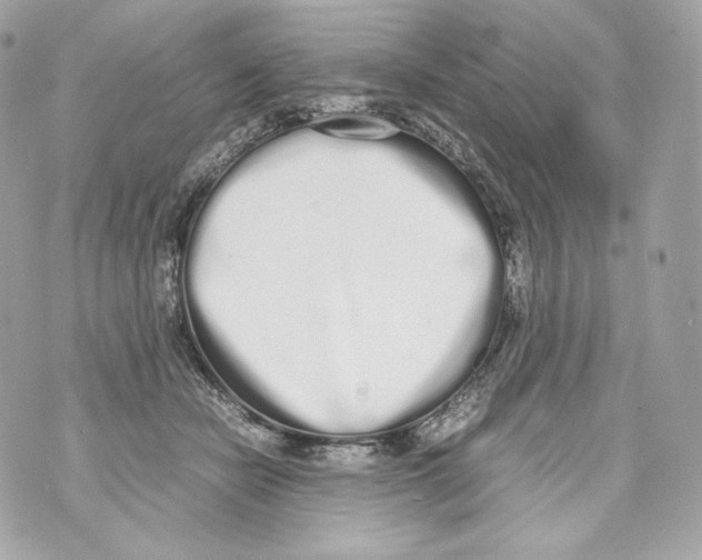 X0000070380462200607072158