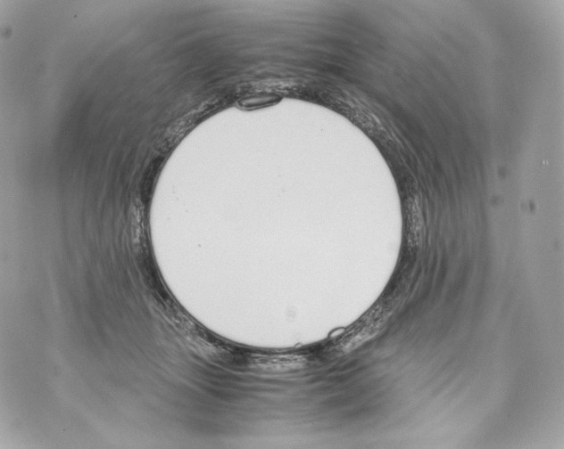 X0000070380463200607072158