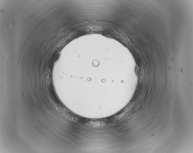 X0000070380464200607072158