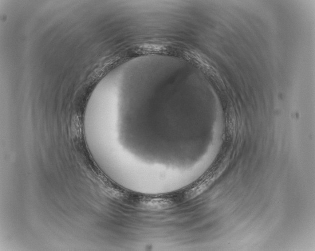 X0000070380467200607072158