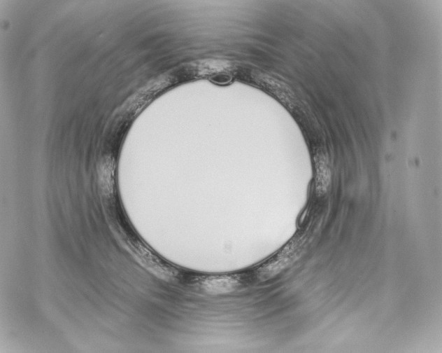 X0000070380468200607072158