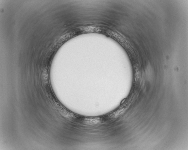 X0000070380469200607072158