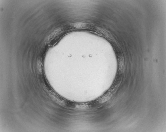 X0000070380470200607072158