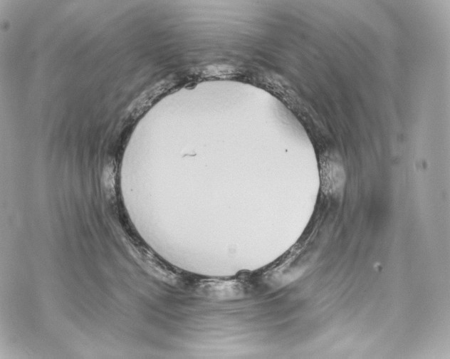 X0000070380472200607072158