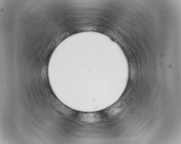 X0000070380473200607072158