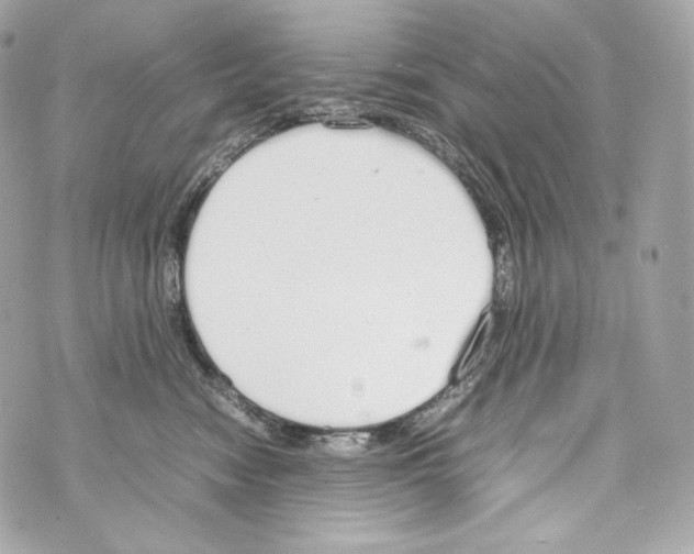 X0000070380474200607072158