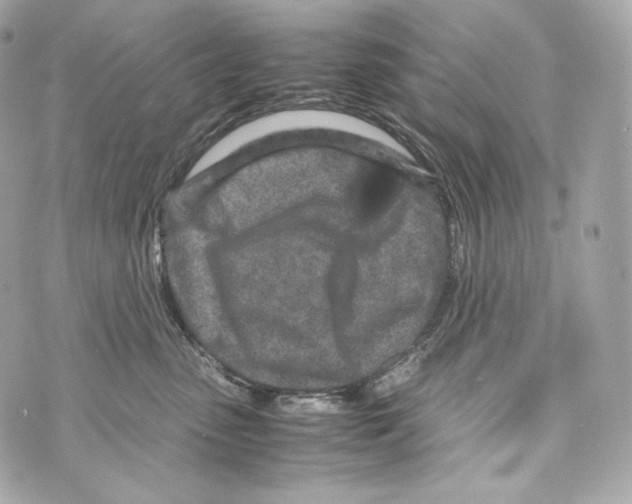 X0000070380475200607072158