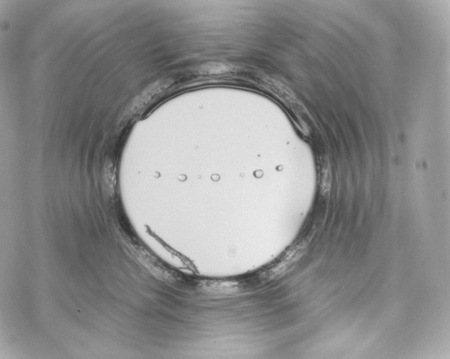 X0000070380476200607072158