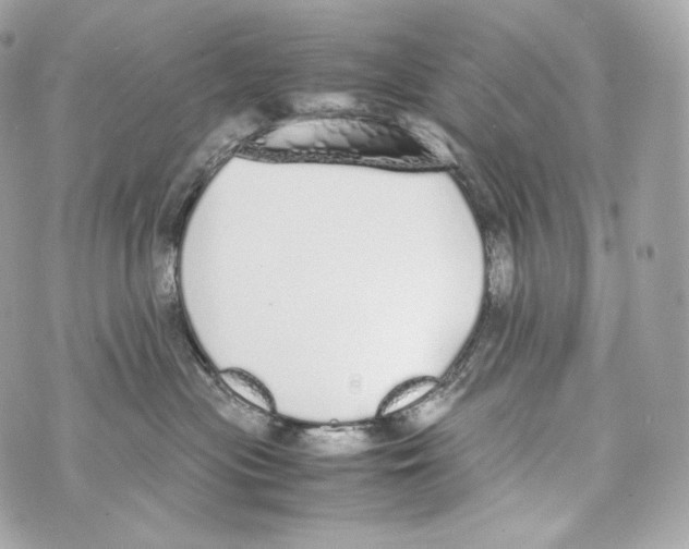 X0000070380477200607072158