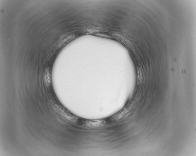 X0000070380479200607072158