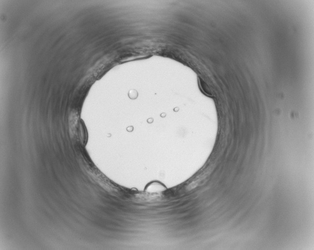 X0000070380480200607072158