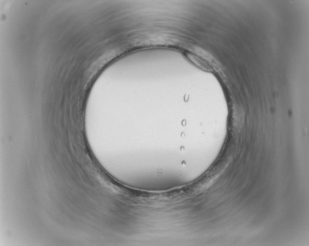 X0000070380481200607072158