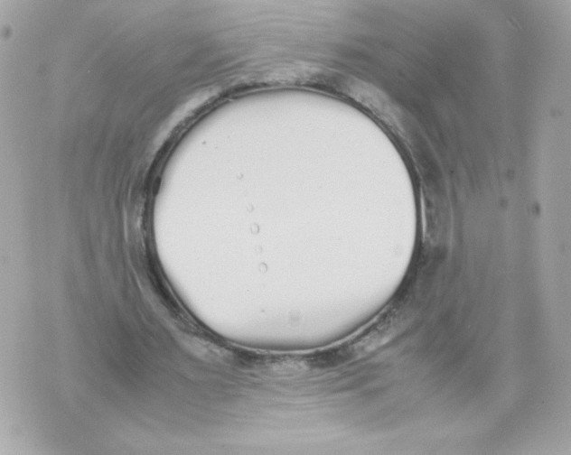 X0000070380483200607072158