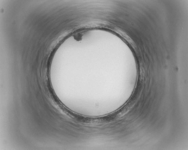 X0000070380485200607072158