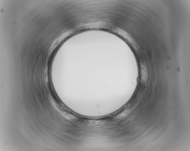 X0000070380486200607072158