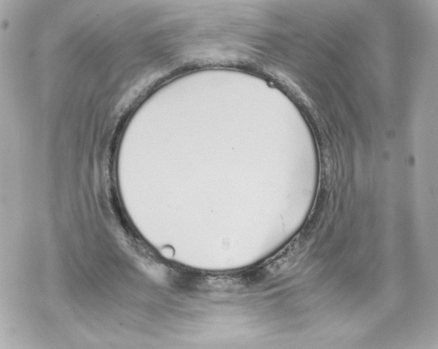 X0000070380487200607072158