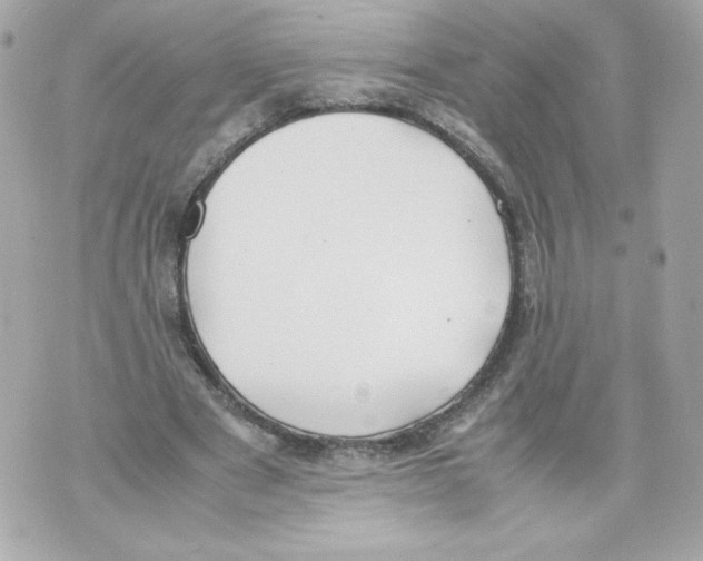 X0000070380489200607072158