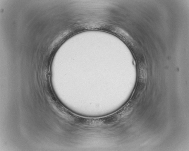 X0000070380491200607072158