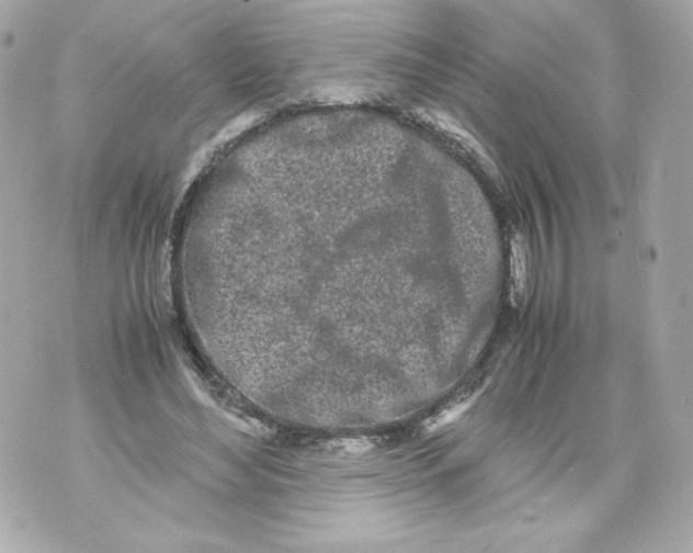 X0000070380492200607072158