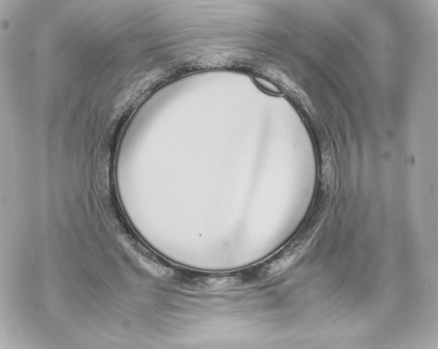 X0000070380493200607072158