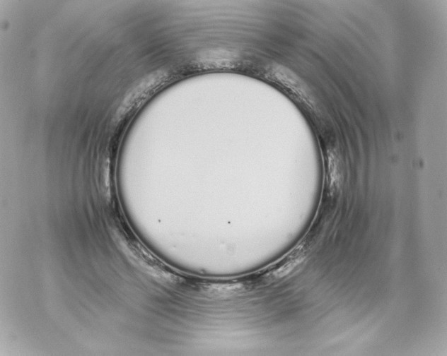 X0000070380494200607072157