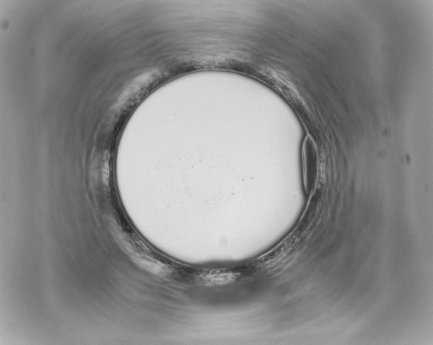 X0000070380495200607072157