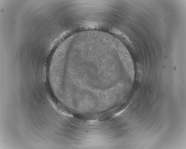 X0000070380496200607072157