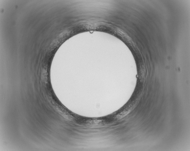 X0000070380497200607072157