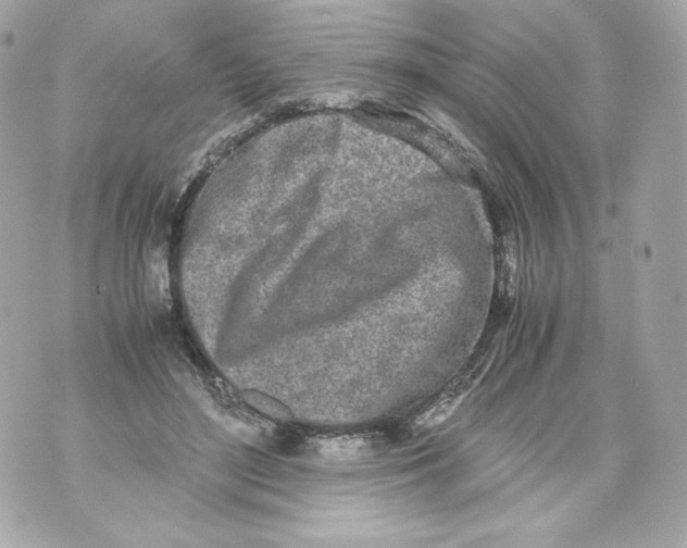 X0000070380500200607072157