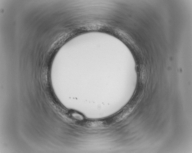 X0000070380501200607072157