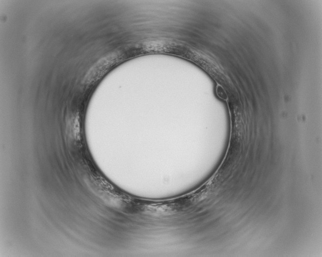 X0000070380502200607072157