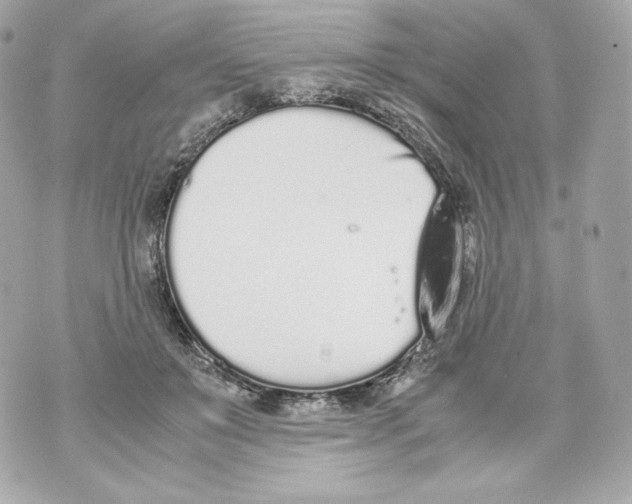 X0000070380503200607072157