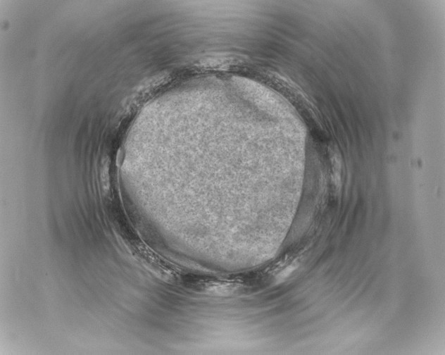 X0000070380504200607072157