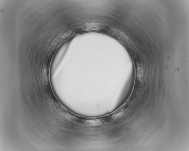 X0000070380506200607072157