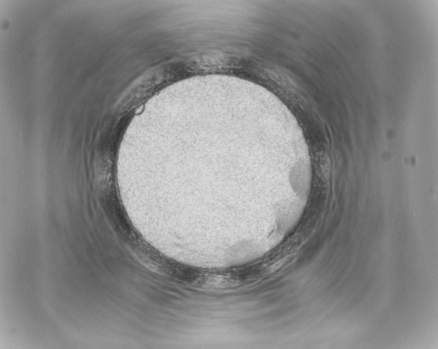 X0000070380507200607072157