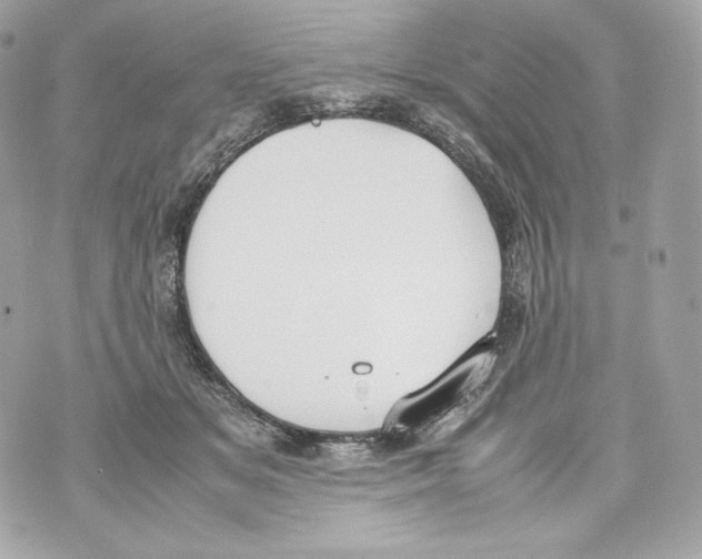 X0000070380509200607072157